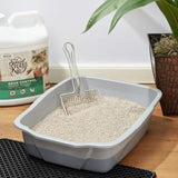 Special Kitty Fresh Scent Odor Control Tight Clumping Cat Litter Jug with Handle. 99% Dust-Free. Recyclable Packaging. Formulated with Natural Bentonite (20, Pounds), Green