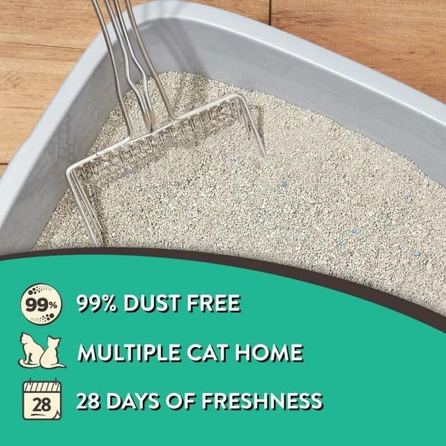 Special Kitty Fresh Scent Odor Control Tight Clumping Cat Litter Jug with Handle. 99% Dust-Free. Recyclable Packaging. Formulated with Natural Bentonite (20, Pounds), Green